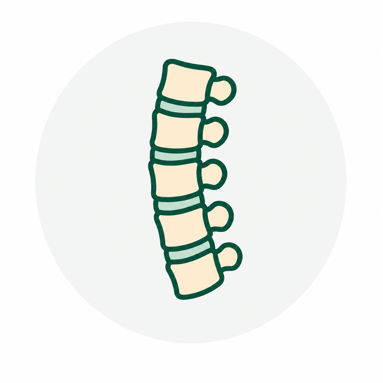 Spine